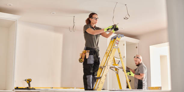 Best Electric Panel Repair  in Burnt Mills, MD