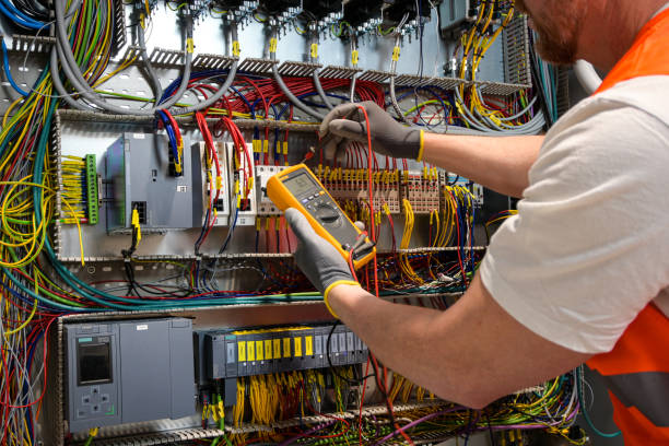 Best Electrician for Home Renovation  in Burnt Mills, MD